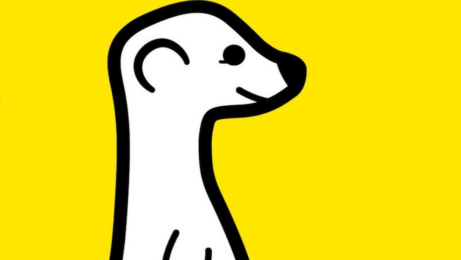 Mobile live-streaming marketing: The fall of Meerkat