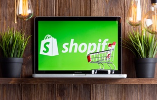 Cost Estimation for Design & Development of a Shopify Ecommerce Store