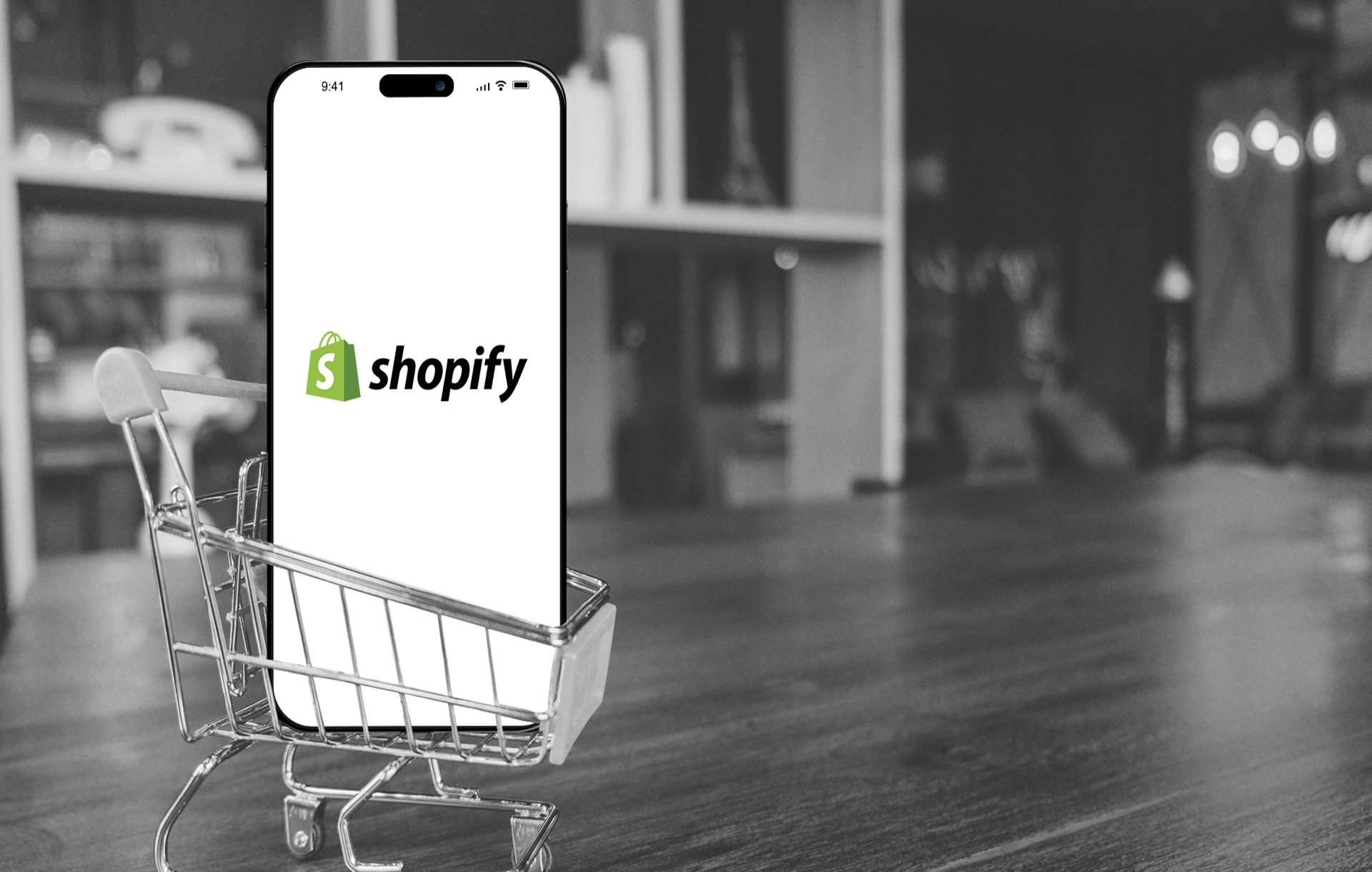 building your shopify store