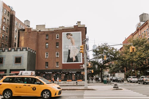 Adaptability Ensures Longevity